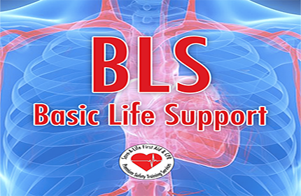 Basic Life Support